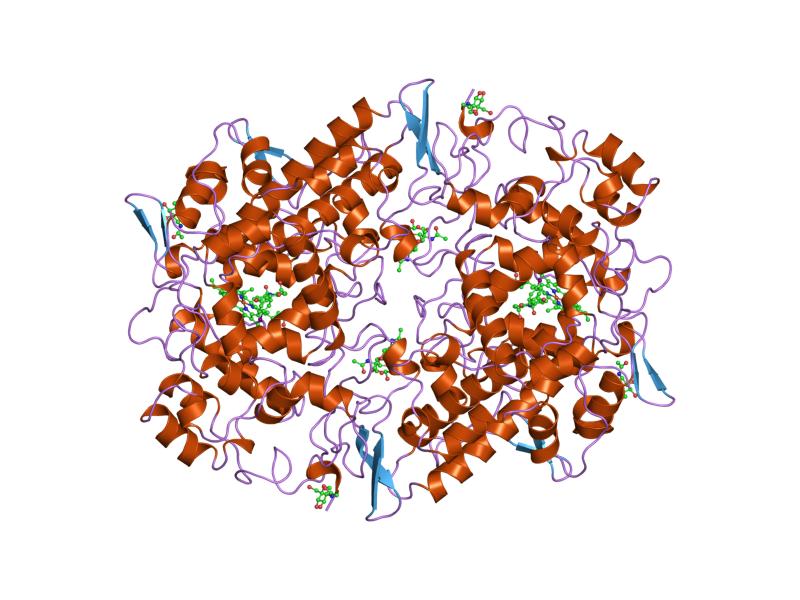 File:PDB 1pgf EBI.jpg