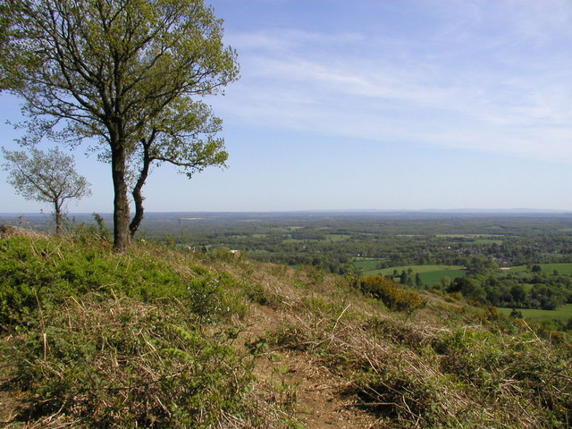 File:Pitch Hill - geograph.org.uk - 793243.jpg