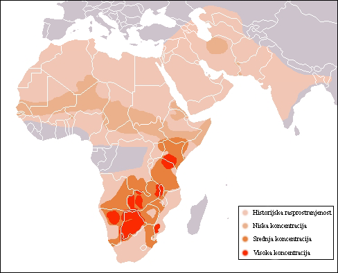 File:Rasprostranjenost geparda (Cheetah Range).png