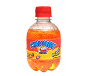 File:S.M. Jaleel's flagship product - Chubby Soft Drinks.jpg