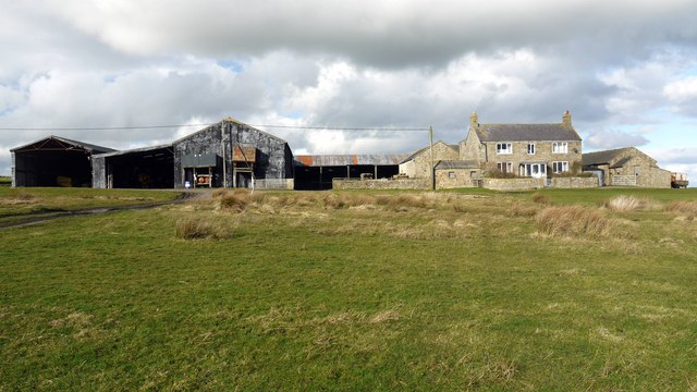 File:Sandyway Heads, Ingoe - geograph.org.uk - 1190994.jpg