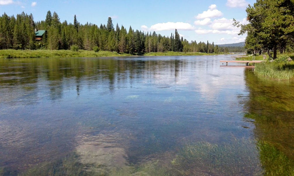 Snake River Island Park.jpg