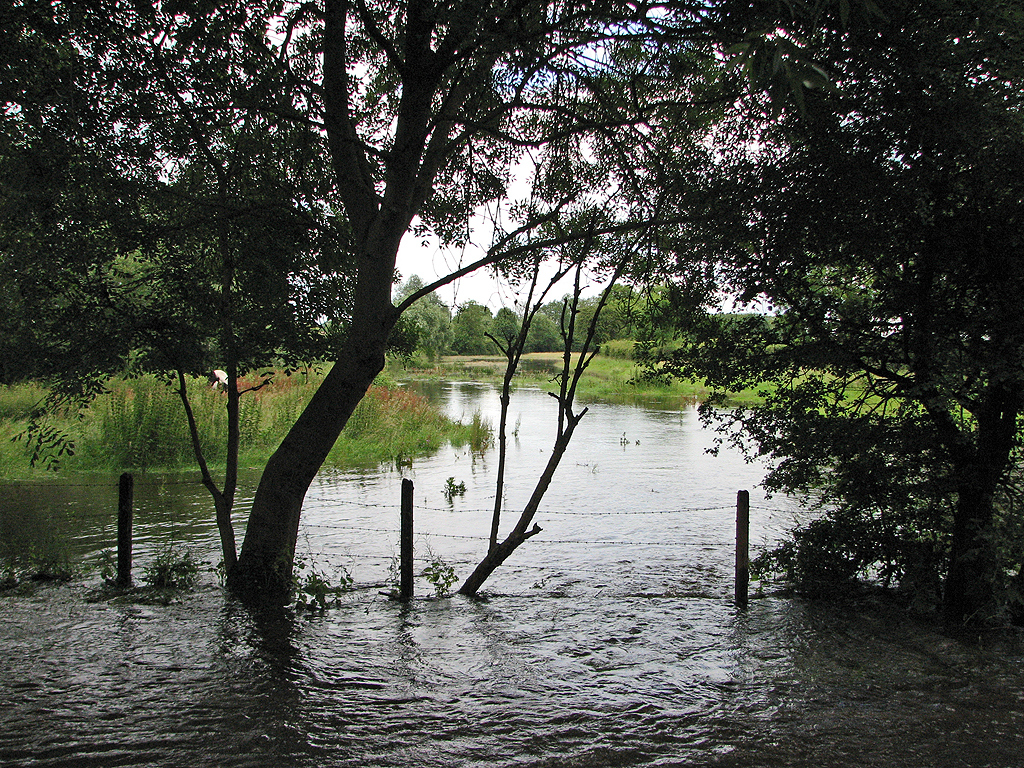 The Cam, burst banks - geograph.org.uk - 3040030