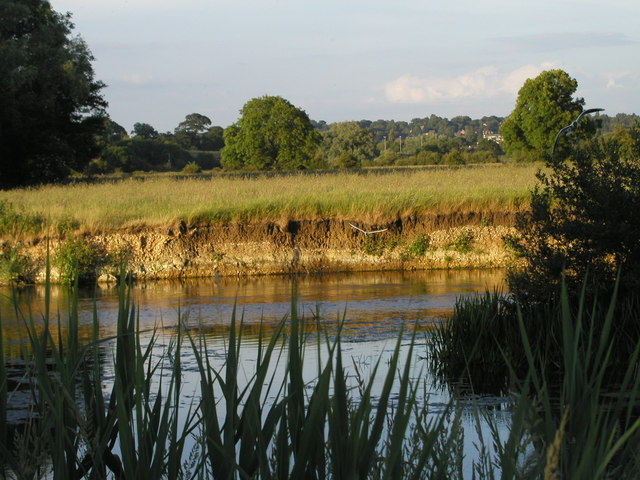 File:The River Stour and the Roman Road at Cowgrove - geograph.org.uk - 786429.jpg