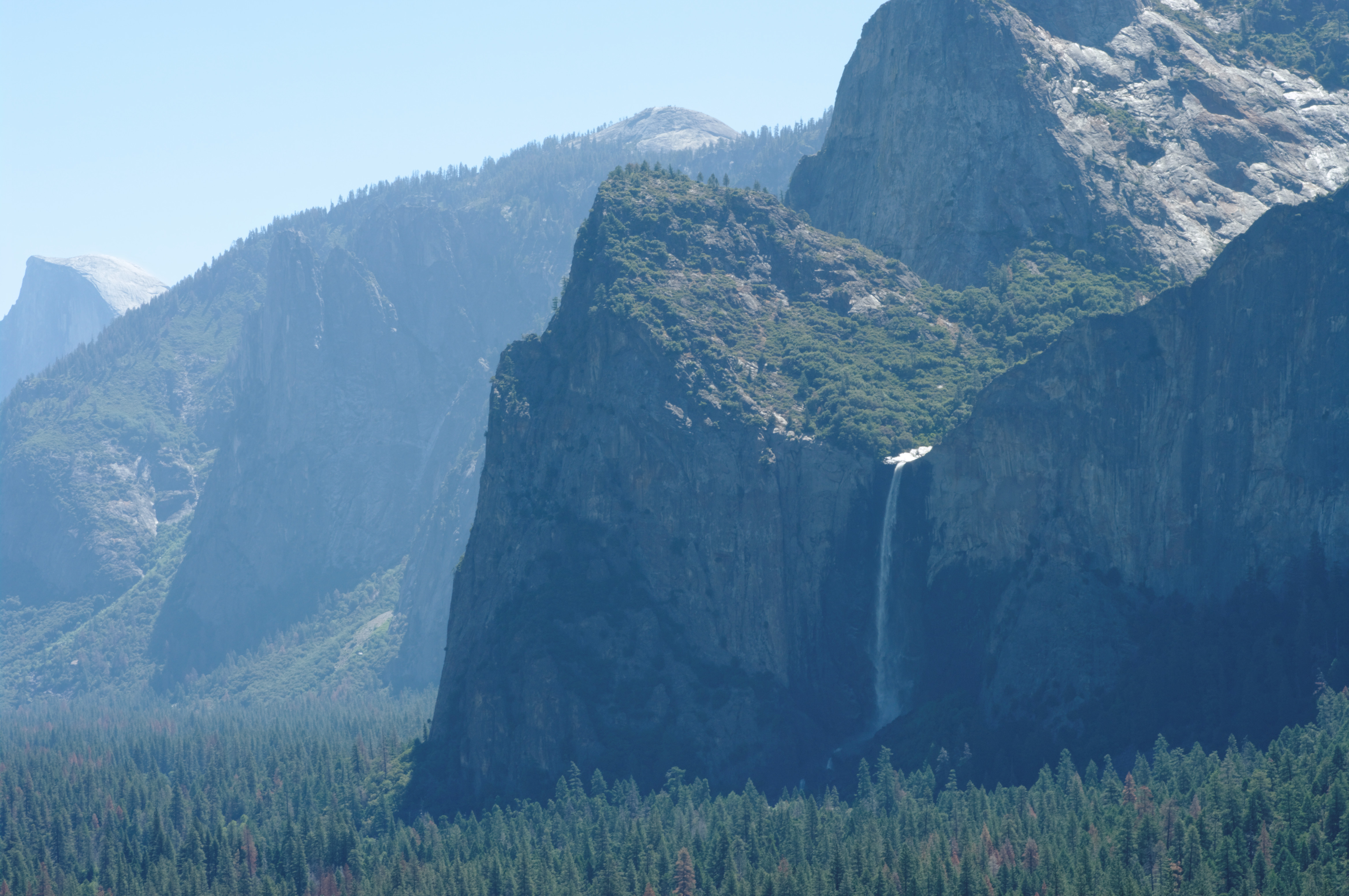 Исчезновение йосемити. Where is the USA'S Official National Christmas Tree located? Yosemite National Park.