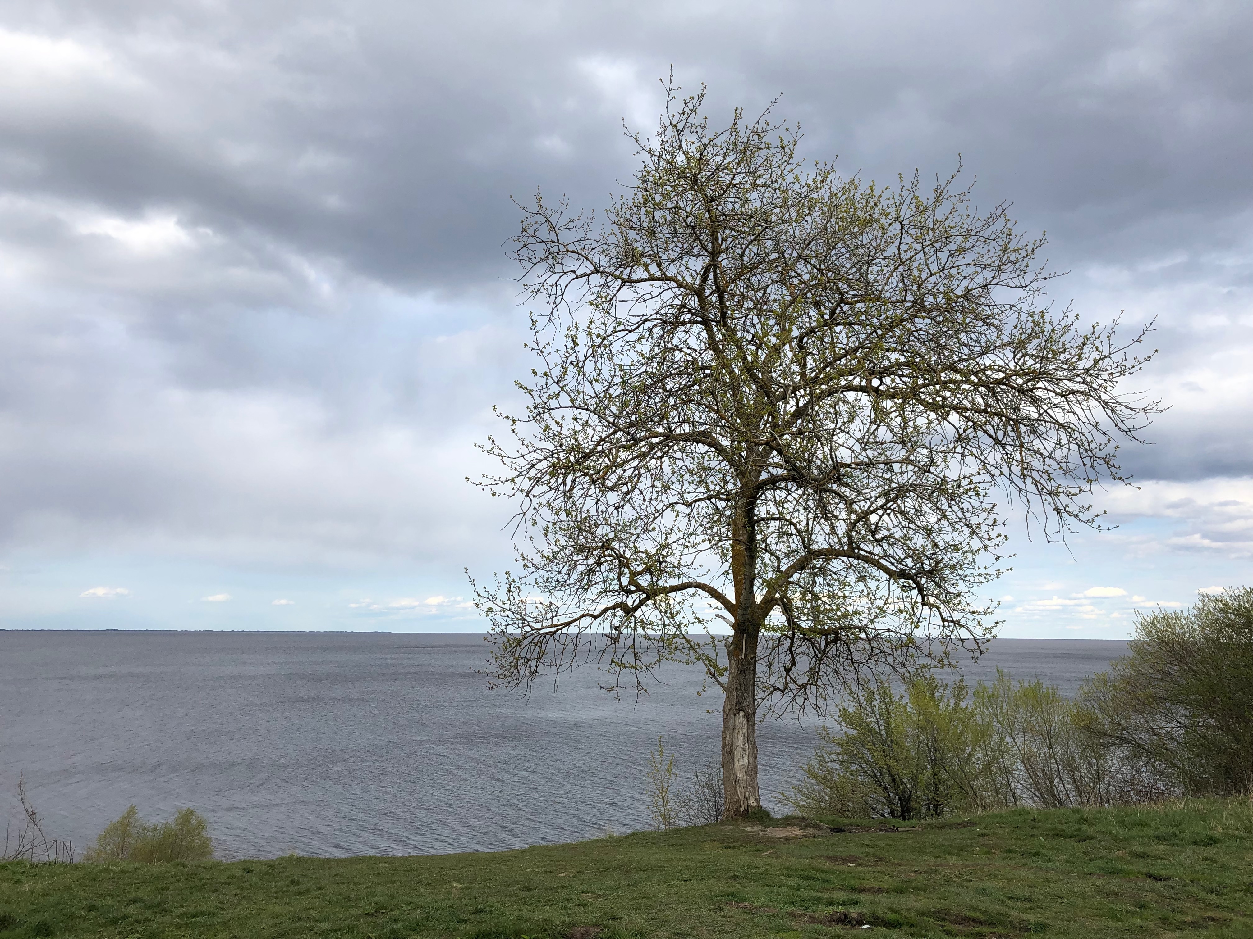 Озеро большой Ильмень Борисоглебск
