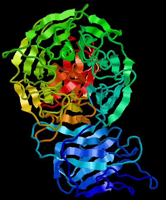 Protein domain - Wikipedia