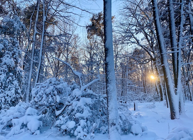 File:2022 GREE Snow sunrise (6469ab2c-bfbf-43d3-9d9b-8fd5dac75252).jpg