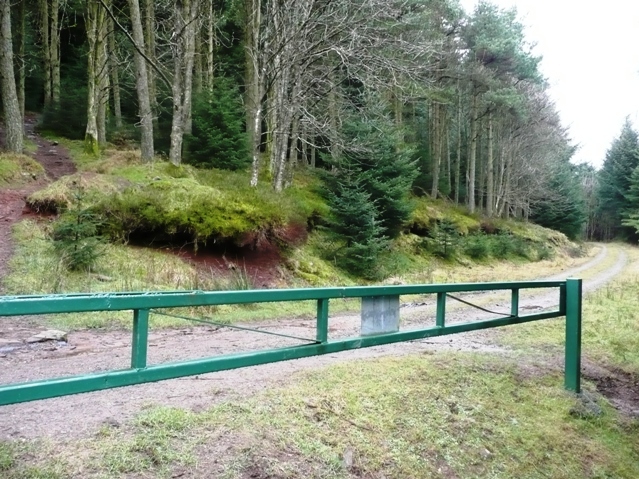 Barrier in Mynydd Du Forest - geograph.org.uk - 703839