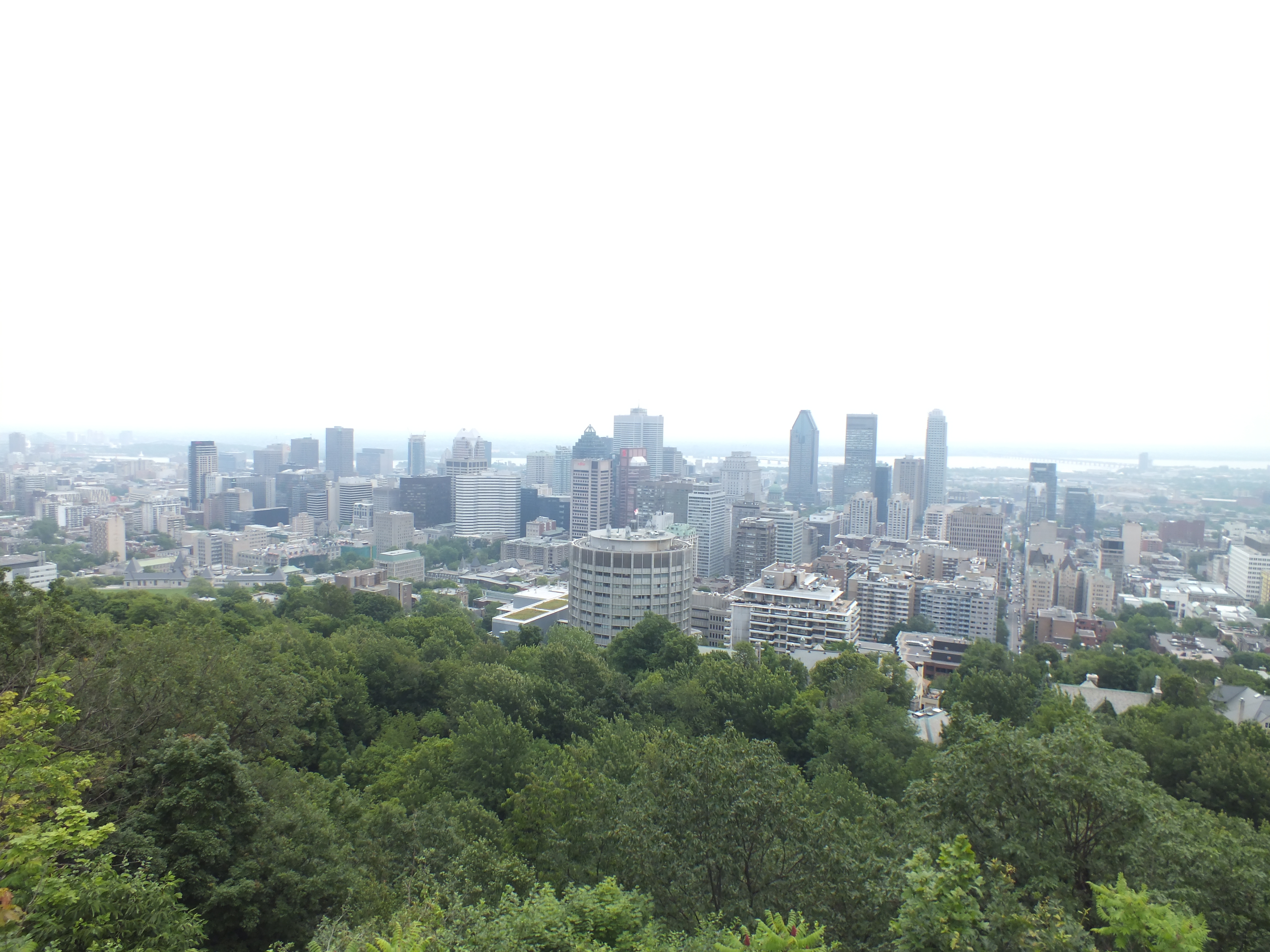 Photo of Mount Royal Park Apartment