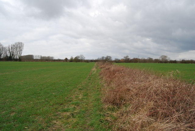 File:Bridleway along a ditch and field edge - geograph.org.uk - 1208874.jpg