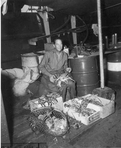 File:CAPT Roy W LaJeunesse with lobsters caught near Rongerik, 1947 (DONALDSON 254).jpeg