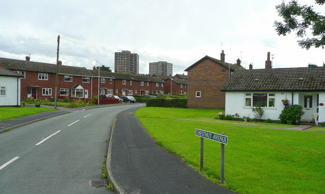 File:Chestnut Avenue, Hurdsfield - geograph.org.uk - 977231.jpg