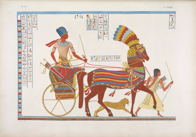 File:Egyptian Chariot (colour).jpg