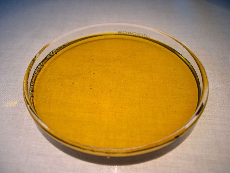 Huile de neem hydrosoluble - Guano Diffusion