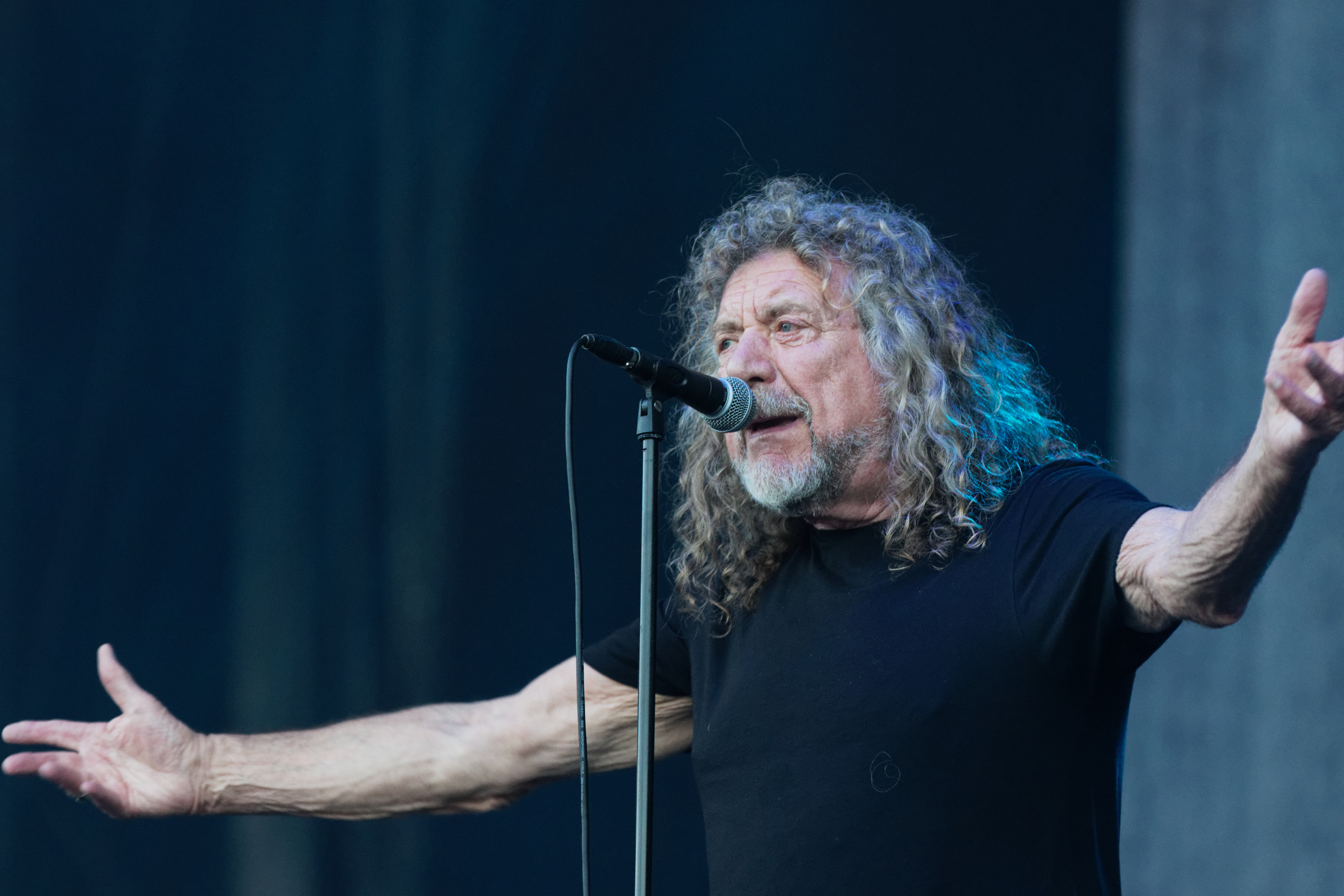 Festival des Vieilles Charrues 2018 - Robert Plant - 041.jpg