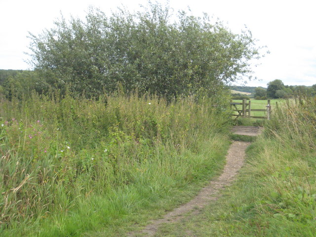 File:Footbridge on the Thames Path - geograph.org.uk - 950906.jpg