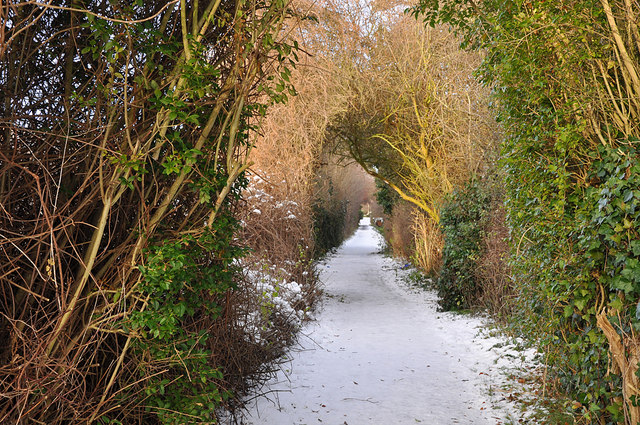 File:Footpath off Rauceby Banks - Sleaford - geograph.org.uk - 1636755.jpg