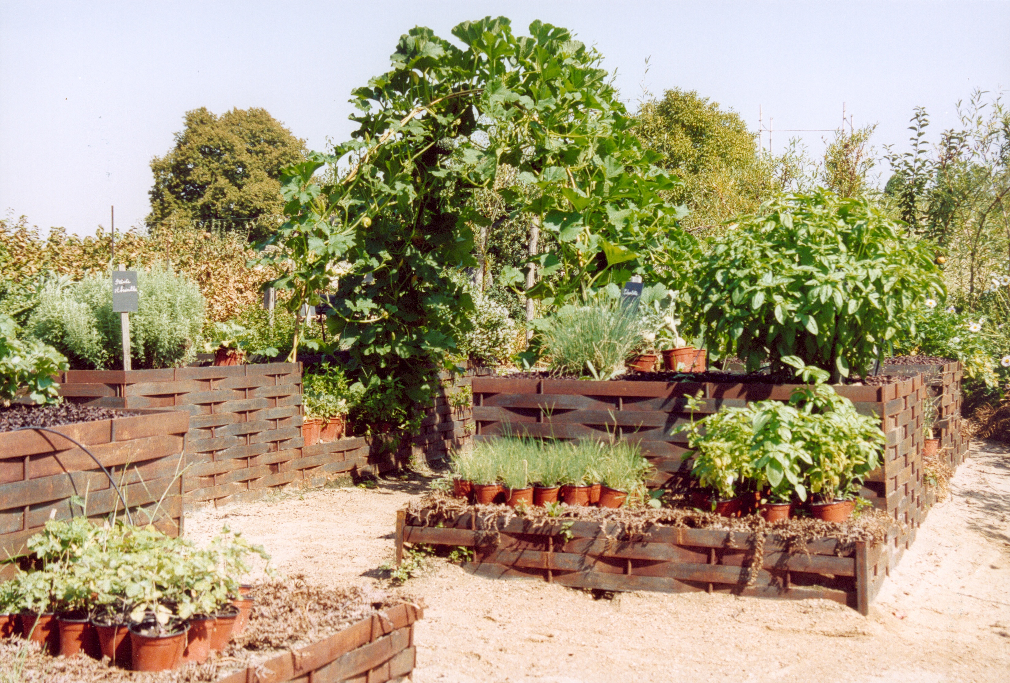 Raised-bed gardening - Wikipedia