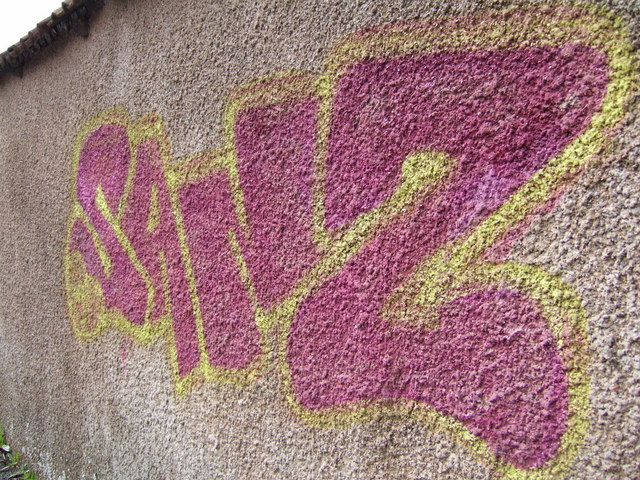 File:Graffiti on Salmonpool Lane - geograph.org.uk - 383661.jpg