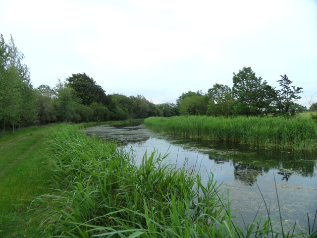 File:Grand Canal in Barrettstown, Co. Kildare - geograph.org.uk - 2479036.jpg