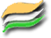 The Indian tricolor