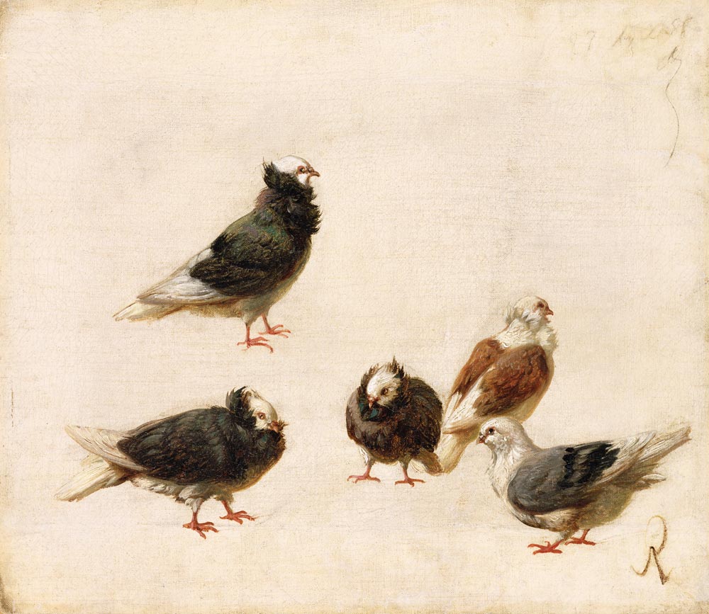 https://upload.wikimedia.org/wikipedia/commons/f/f0/Jose_Ruiz_Blasco_-_doves.jpg