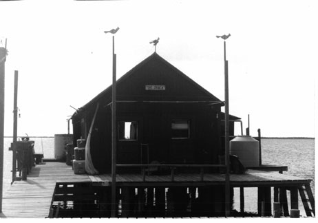 File:Leneer Fish Cabin at Captiva Rocks.jpg