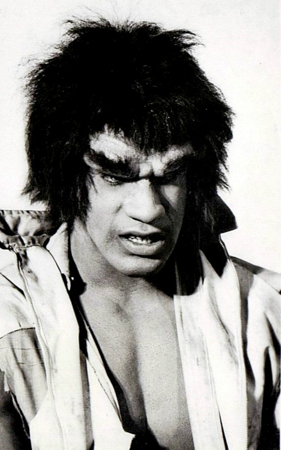 Lou Ferrigno Incredible Hulk - El increible Hulk