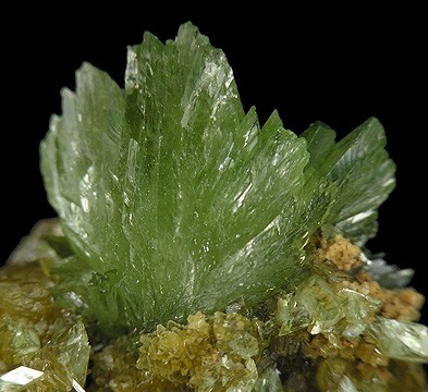 File:Ludlamite-240634.jpg