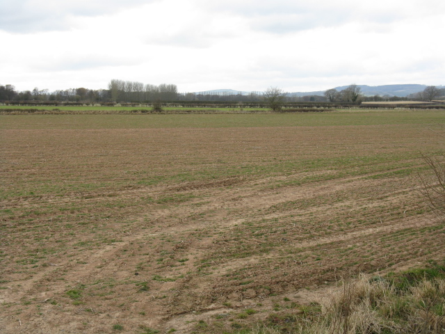 File:Lugg Valley Fieldscape - geograph.org.uk - 1759004.jpg