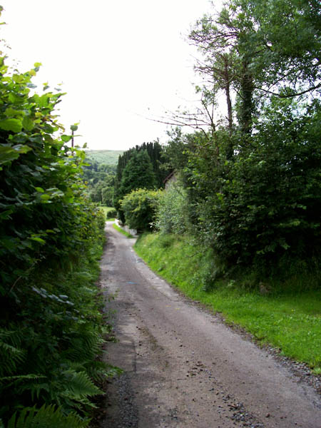 File:Narrow lane - geograph.org.uk - 525239.jpg