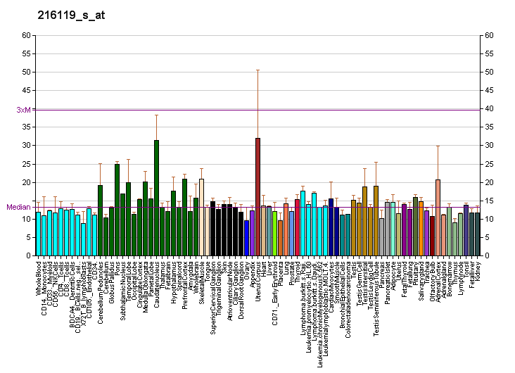 File:PBB GE C20orf28 216119 s at fs.png