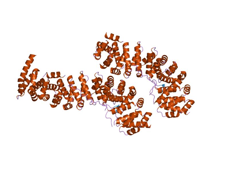 File:PDB 1g3j EBI.jpg