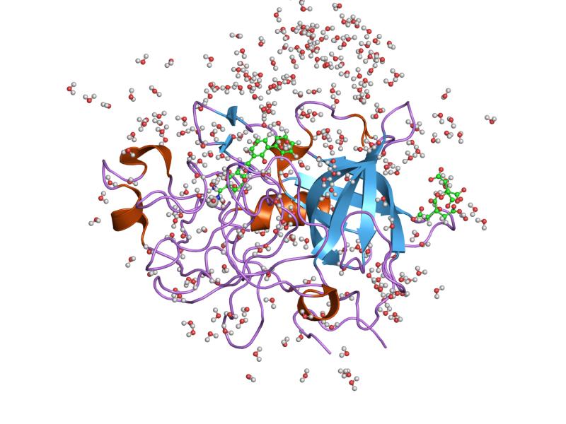 File:PDB 1gjc EBI.jpg