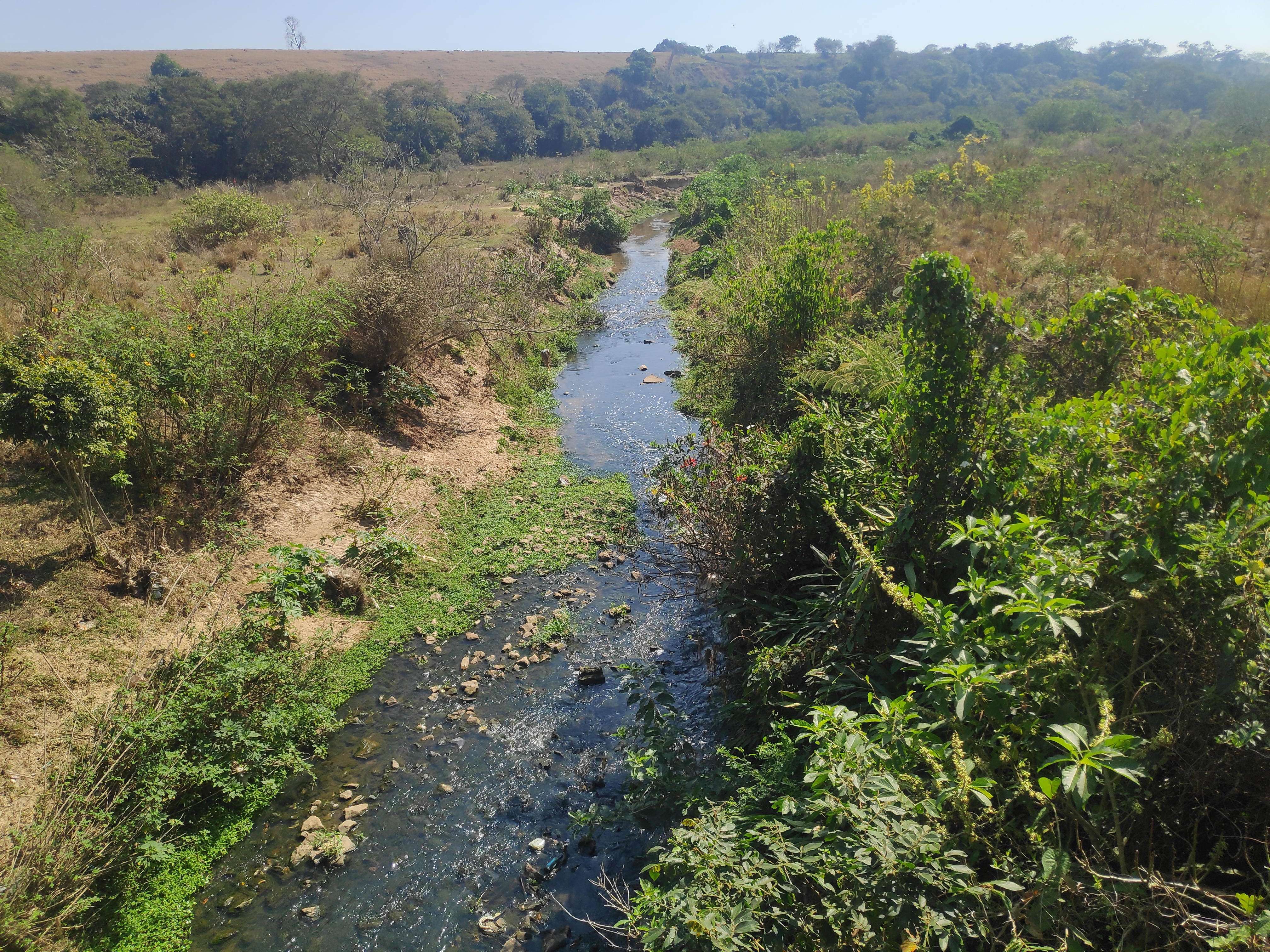 Marlene's  São José dos Campos SP