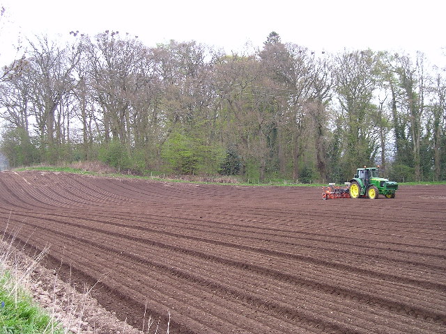 File:Spring Sowing - geograph.org.uk - 74154.jpg