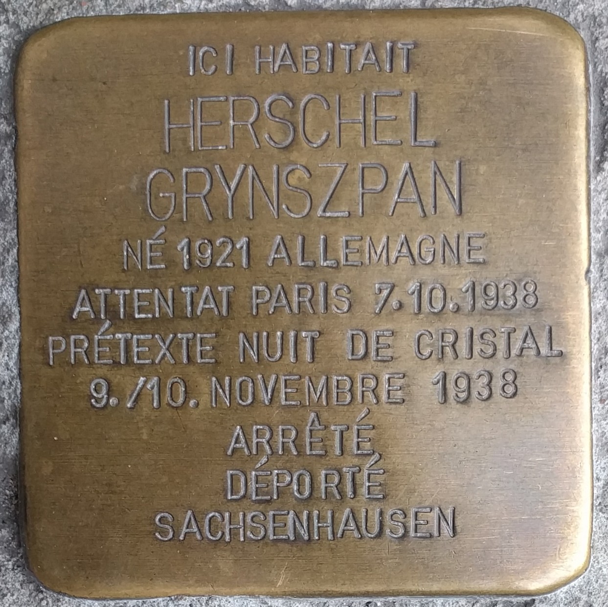 File Struikelsteen Voor Herschel Grynszpan Jpg Wikimedia Commons