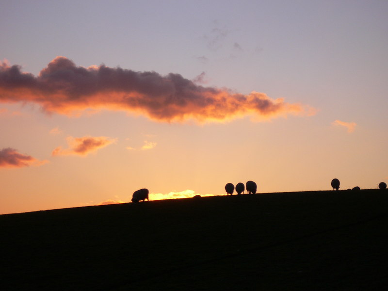 File:Sunset near Lindford - geograph.org.uk - 1704836.jpg