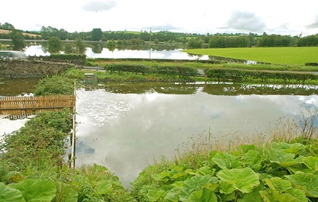 File:The Bann in flood (6) - geograph.org.uk - 926344.jpg