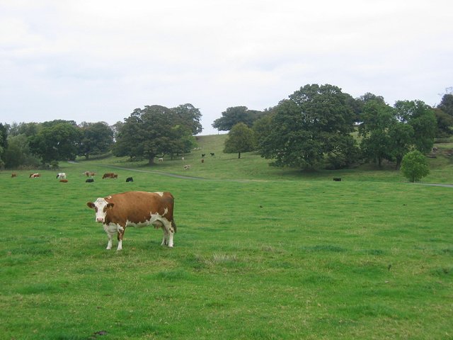 File:The Binns. - geograph.org.uk - 61494.jpg