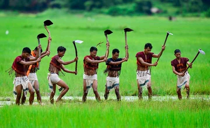 File:Tiwa man folks working in the Paddy field.jpg