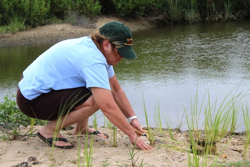 File:Volunteer planting native plants for erosion control. (b067b758-285c-45cc-b053-7c159431e01c).jpg