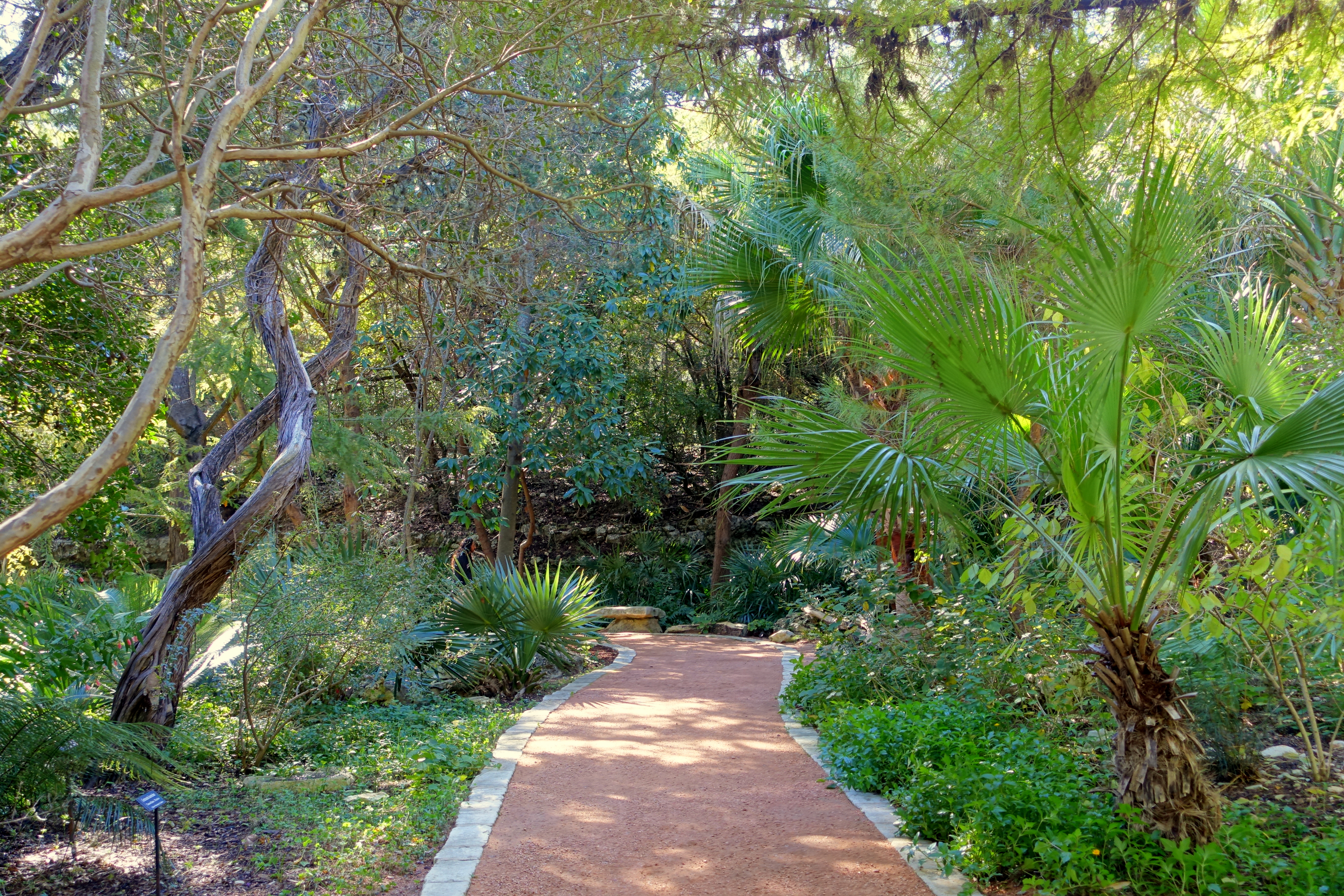 File Walkway Hartman Prehistoric Garden Zilker Botanical