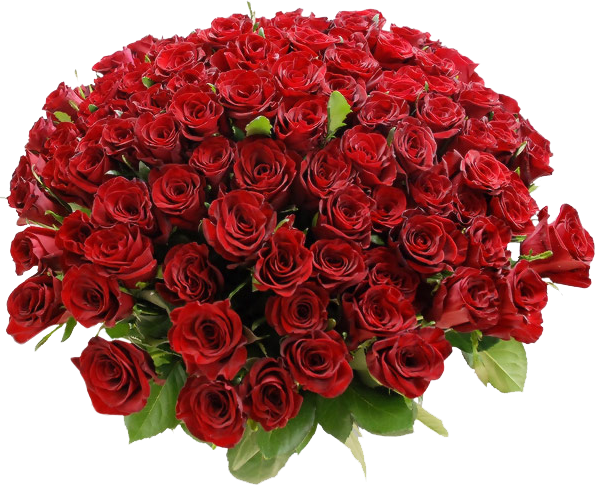 File:Bouquet-of-Red-Roses.png