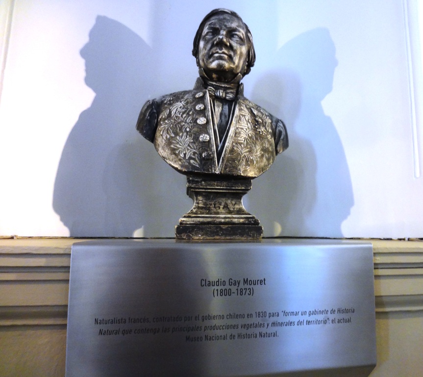 Busto de Claudio Gay, en el [[Museo Nacional de Historia Natural de Chile