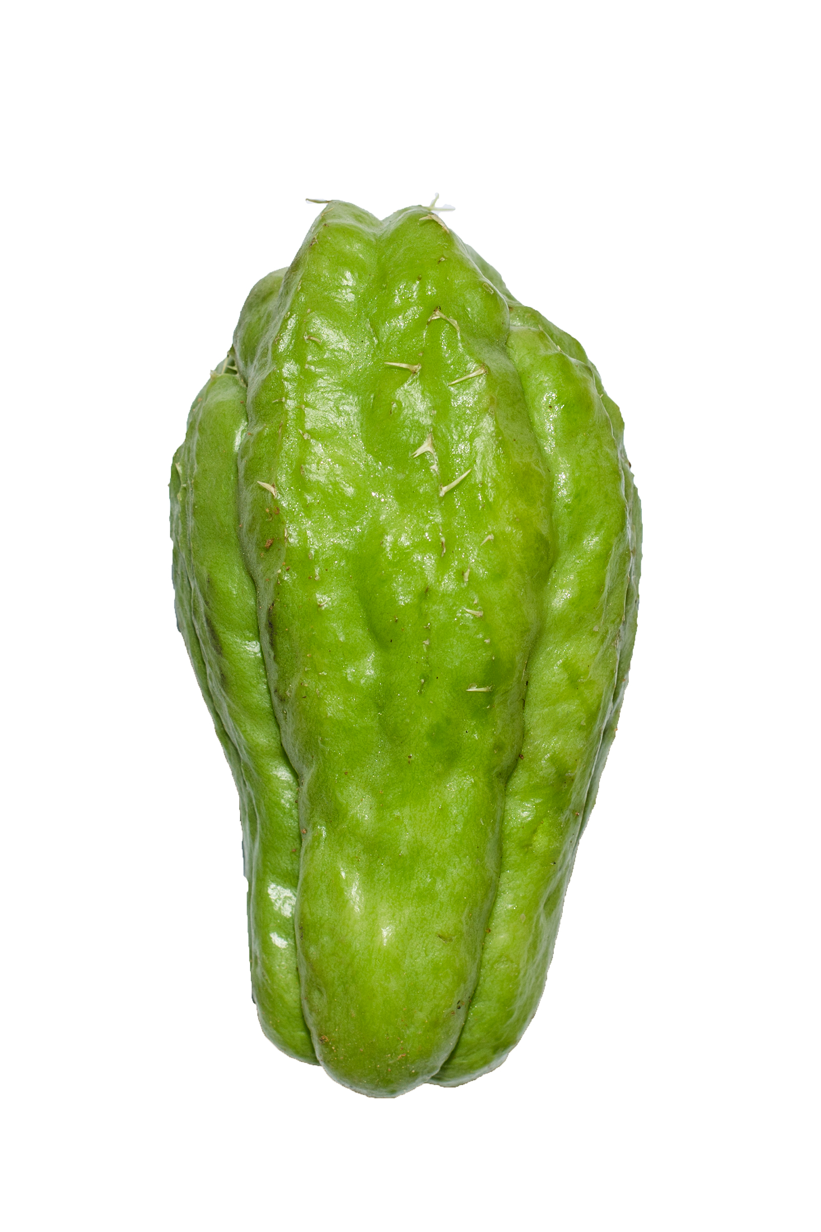 Chayote - Wikipedia