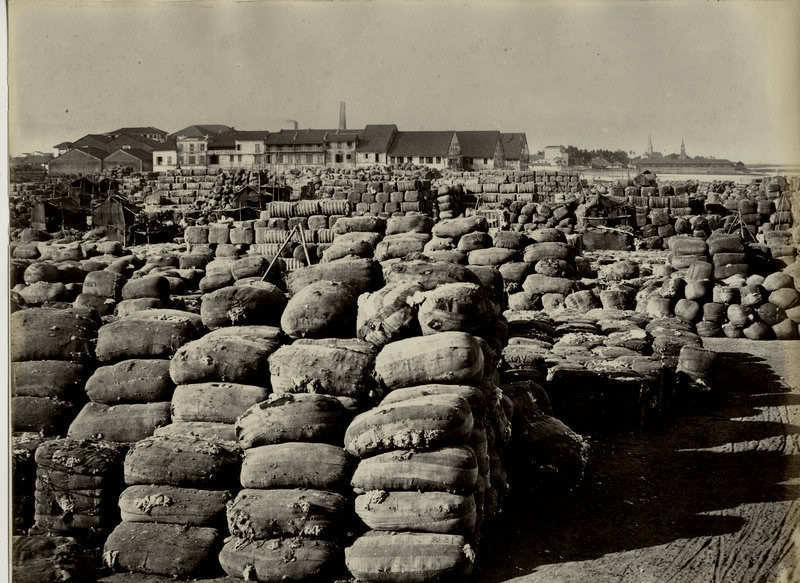 File:Cotton bales at the port in Bombay in the 1860s.JPG