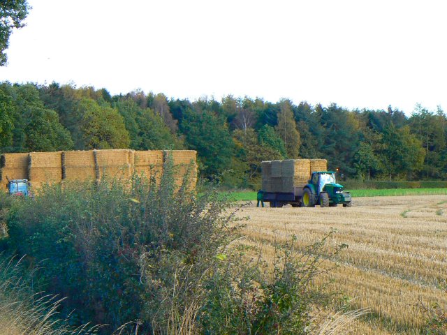 File:Cubic 'haystacks' - geograph.org.uk - 587004.jpg