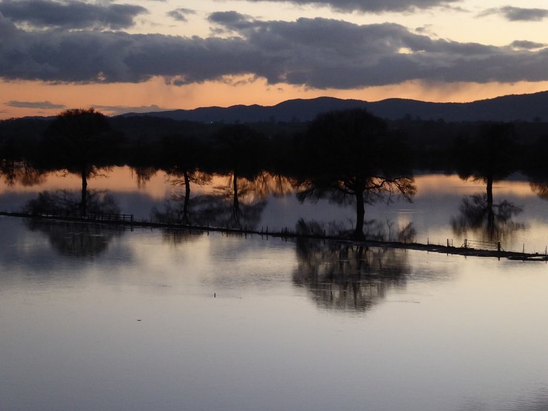 File:Evening light reflected in the floodwater - geograph.org.uk - 4825500.jpg